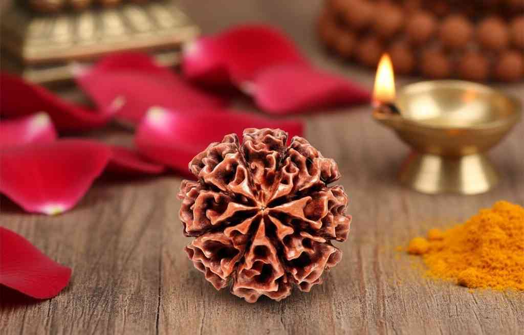 8 Mukhi Nepali Rudraksha